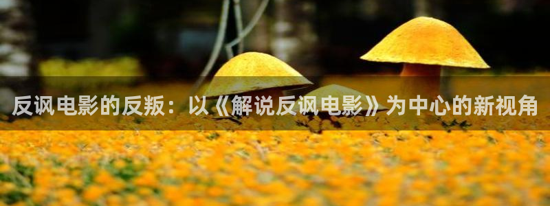 西瓜视