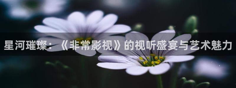 芝麻胡同完整版免费观看西瓜