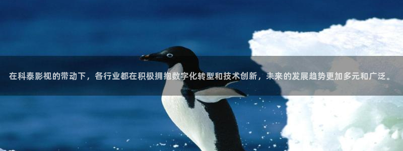 西瓜影院全职高手免费观看