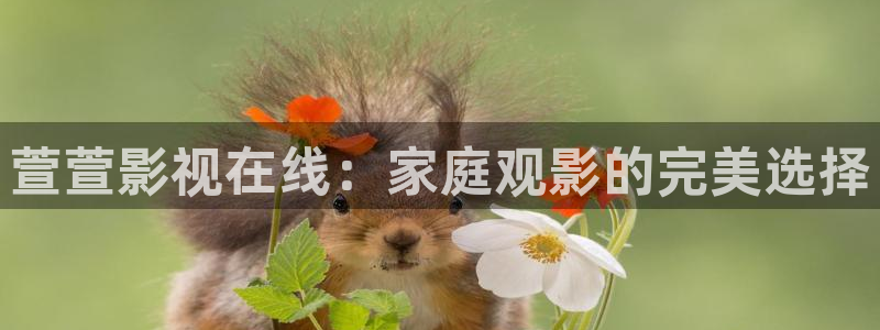 xi西瓜影院