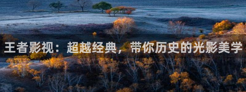西瓜里
