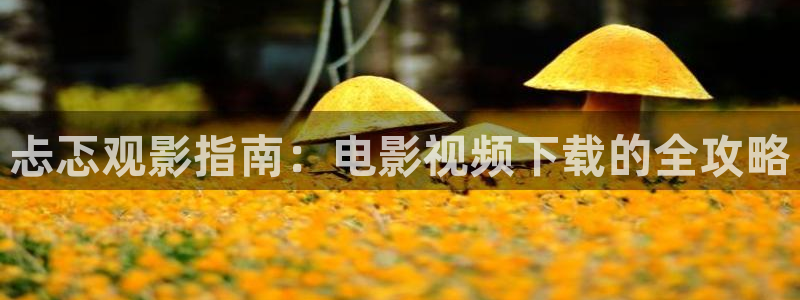 华丽的外出 西瓜影院