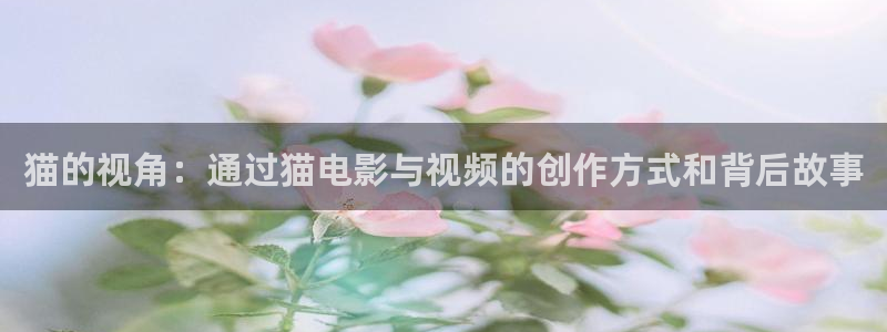 西瓜影视免费在线观看