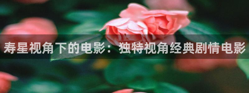 西瓜影院狂飙电视剧全集免费播放
