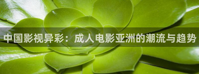 西瓜电影伦理