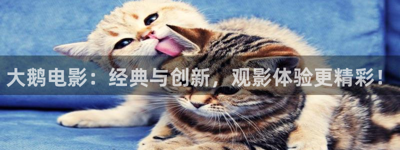西瓜图