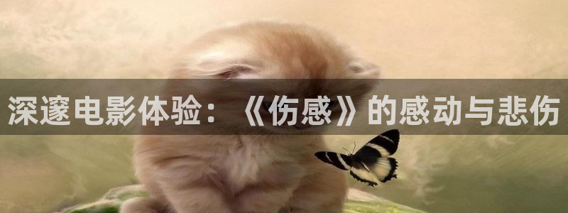 西瓜影院在线高清观看