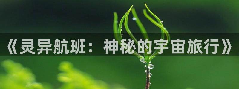 李卫辞官全集免费观看西瓜