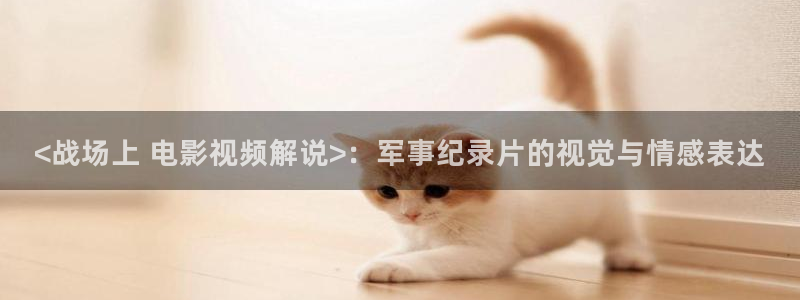 西瓜影院日韩：<战场上 电影视频解说>：军事纪录片的视觉与情感表达