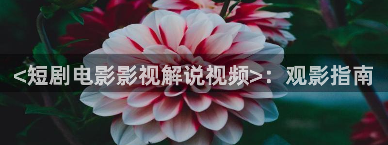 鉴证实录1免费国语版西瓜：<短剧电影影视解说视频>：观影指南
