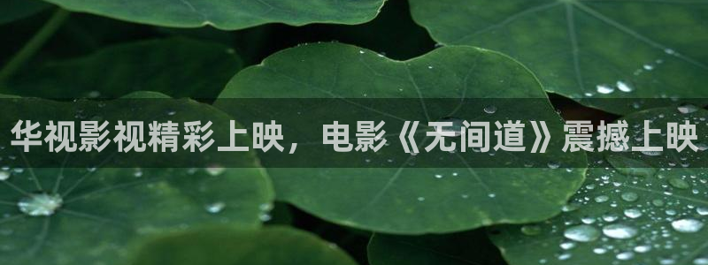 无人区在线观看西瓜：华视影视精彩上映，电影《无间道》震撼上映