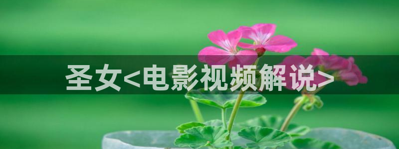 西瓜影院伦理小说：圣女<电影视频解说>