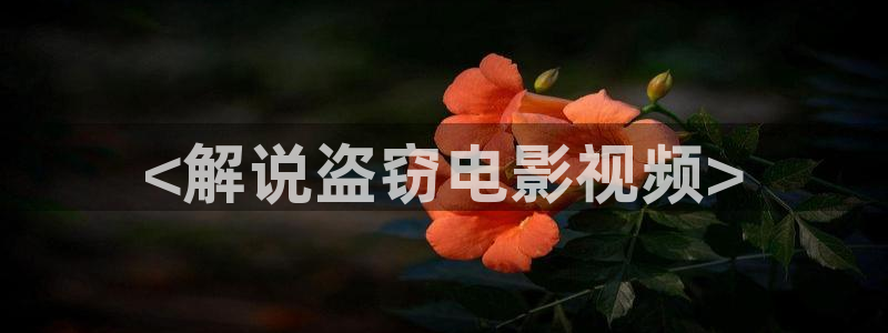 西瓜牌：<解说盗窃电影视频>