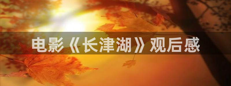 西瓜天狼影院在线观看免费高清电视：电影《长津湖》观后感