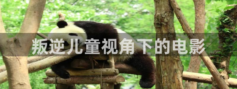 亮剑西瓜影院：叛逆儿童视角下的电影