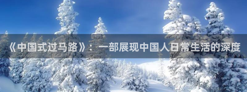 西瓜电影免费看完整版：《中国式过马路》：一部展现中国人日常生活的深度