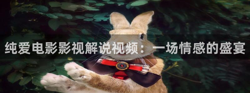 我们的法则免费完整版观看西瓜：纯爱电影影视解说视频：一场情感的盛宴