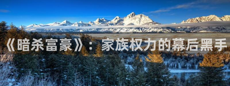 西瓜影院网：《暗杀富豪》：家族权力的幕后黑手