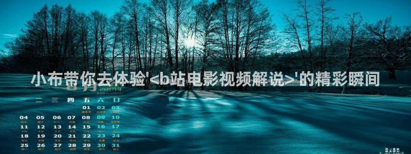 色戒西瓜在线：小布带你去体验\'<b站电影视频解说>\'的精彩瞬间
