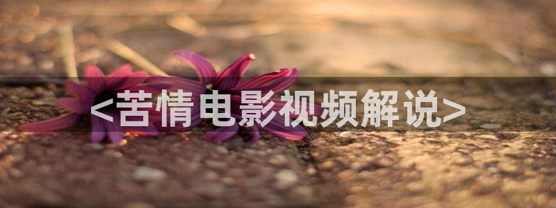 西瓜机：<苦情电影视频解说>