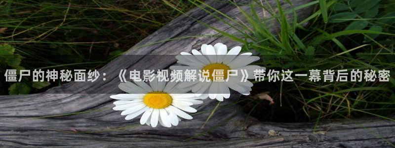 亲爱的热爱的免费观看西瓜：僵尸的神秘面纱：《电影视频解说僵尸》带你这一幕背后的秘密