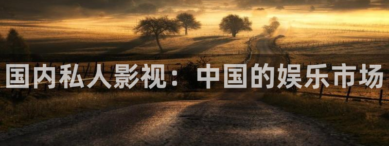 了不起的女孩电视剧全集免费西瓜：国内私人影视：中国的娱乐市场