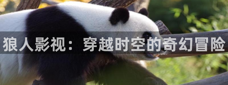 士兵突击在线观看免费西瓜：狼人影视：穿越时空的奇幻冒险