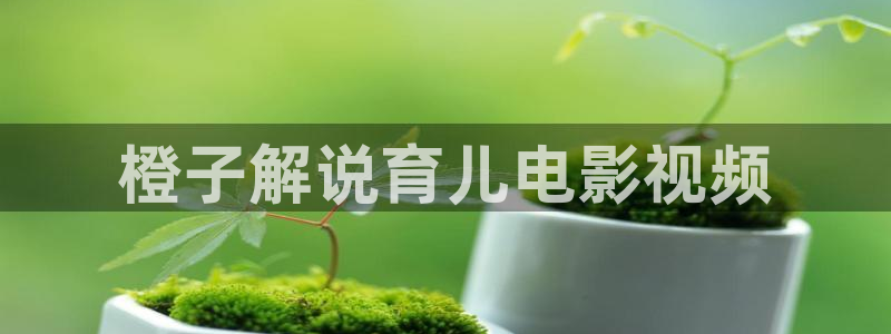 大宋北斗司西瓜免费观看：橙子解说育儿电影视频