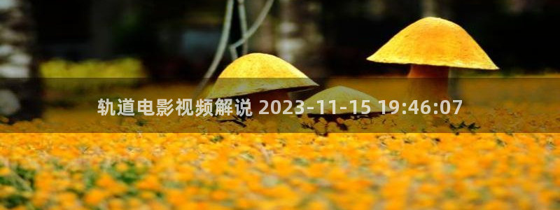 西瓜的视频：轨道电影视频解说 2023-11-15 19:46:07