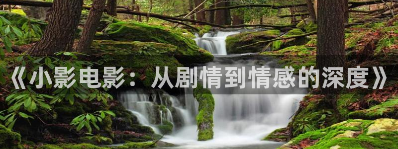 西瓜110影音：《小影电影：从剧情到情感的深度》