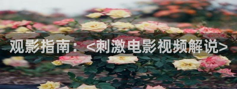 西瓜电影.：观影指南：<刺激电影视频解说>