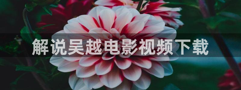 西瓜电影在线看