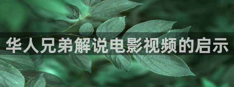 南海归墟连续剧免费观看西瓜