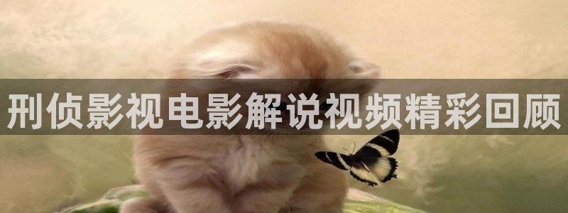 潜伏电视剧西瓜影院