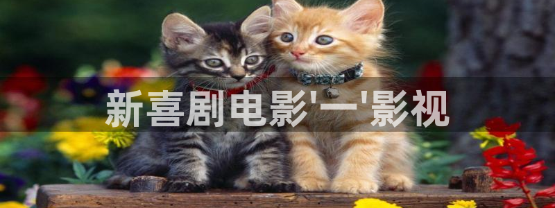 西瓜课程