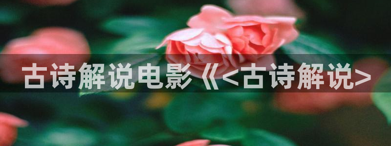 我曾记得那男孩免费观看西瓜影院